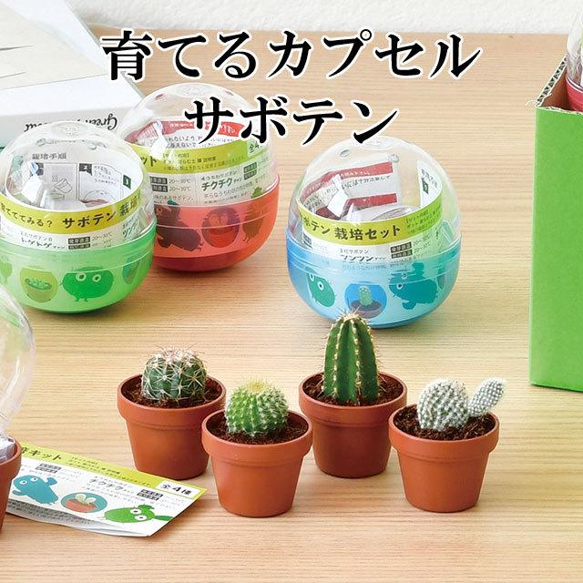 栽培キット 育てるカプセル サボテン 栽培セット 植物 グリーン 丸