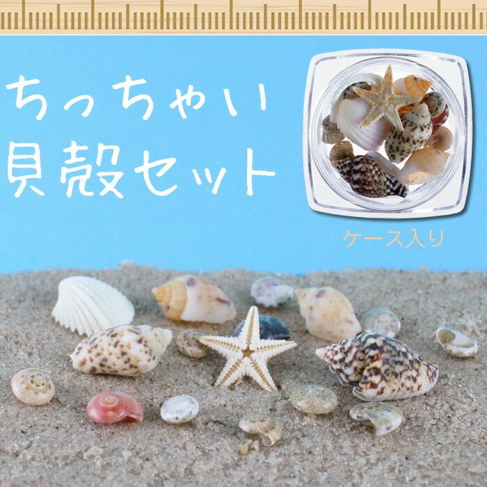 セット シェルパーツセット クラッシュシェルパウダー 夏メタル