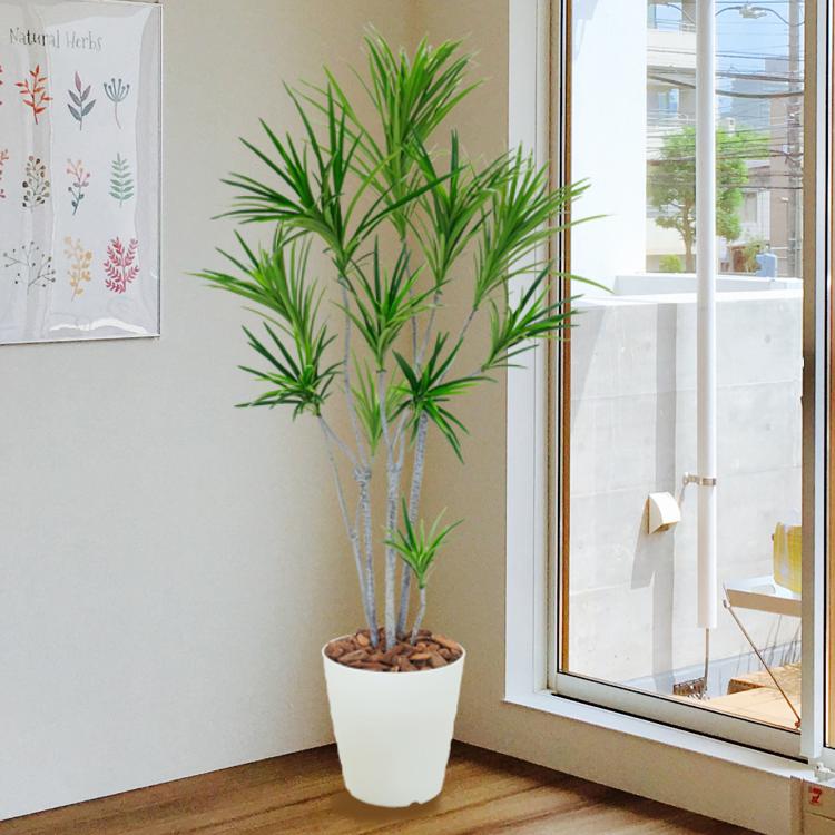 ドラセナ コンシンネ 150cm (ユッカ フェイクグリーン 樹木 人工観葉