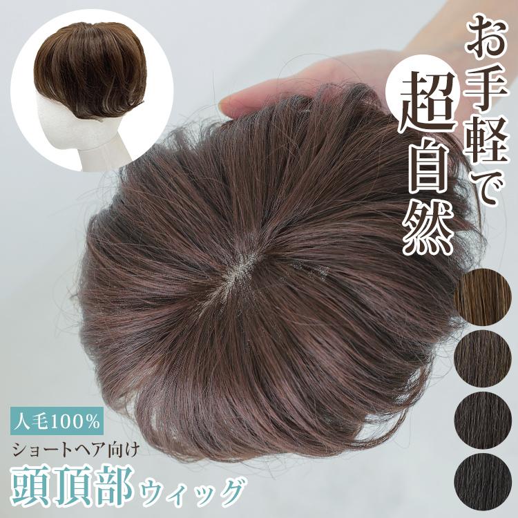 AQUADOLL（アクアドール） 部分ウィッグ 頭頂部 人毛 ヘアピース 自然
