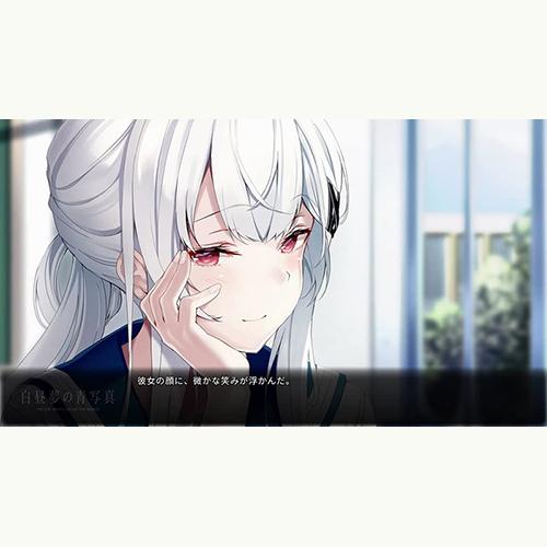 新品】Switch 白昼夢の青写真 コレクターズ・ボックス : アーク