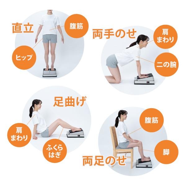 新品未使用 ポルト ウルトラウェーブ スイッチ AIM-FN075 フィットネス