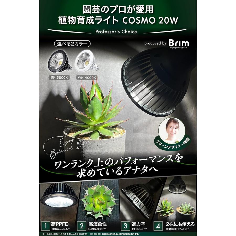 グリーンアドバイザー推薦】BRIM(ブリム) COSMO BK (22W) 白色系