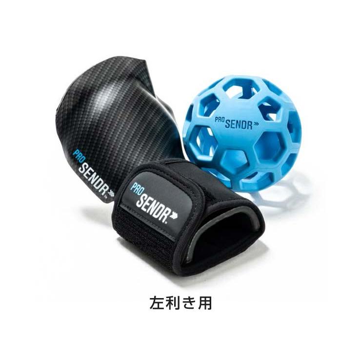 ヤマニゴルフ プロセンダー ProSENDR スイング練習器 : ゴルフ