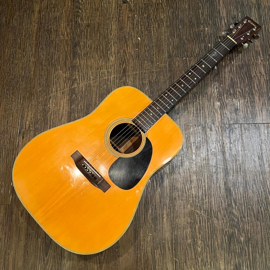 Takamine Elite TW-13 タカミネ エリートD-28 コピー Takamine Elite