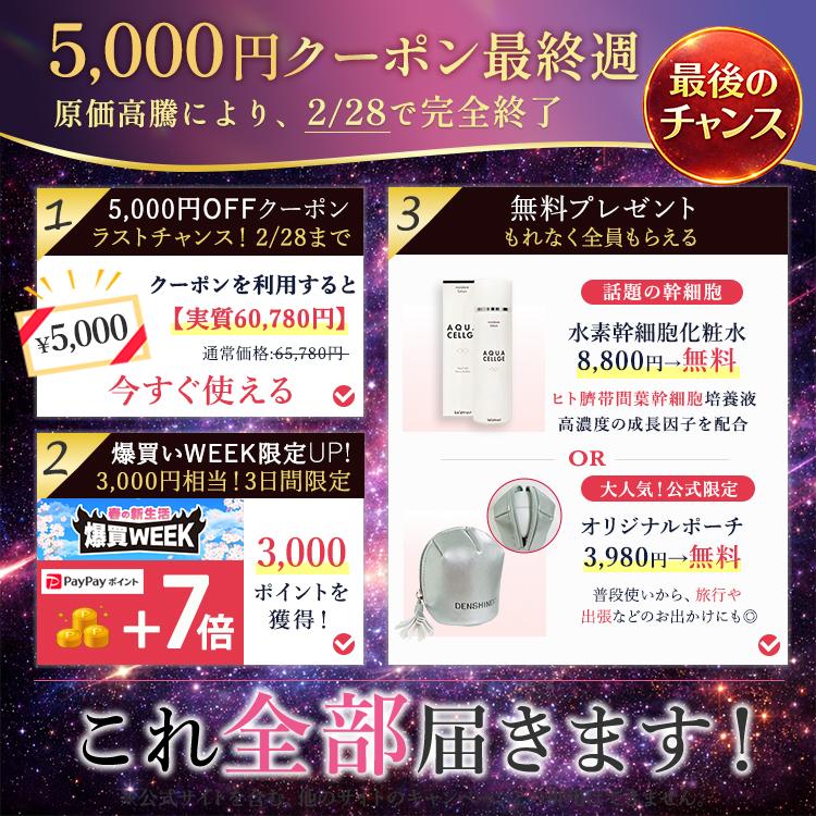 公式！2/28まで☆5,000円OFFクーポン+ギフト】DENSHINDO プラズマ エア