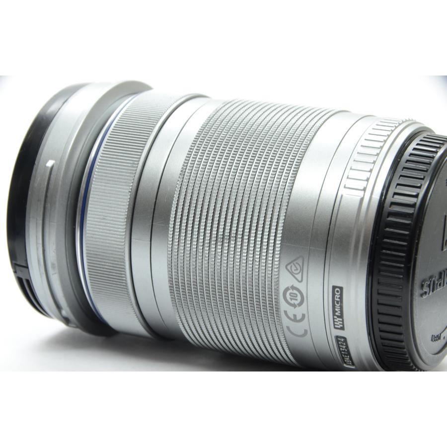 OLYMPUS PEN オリンパス E-PL10 ブラウン EZ ダブルズームキット