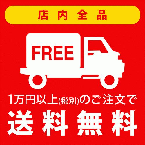 アムウェイ アーティストリー ホームエスティシャン 美顔器 EMS