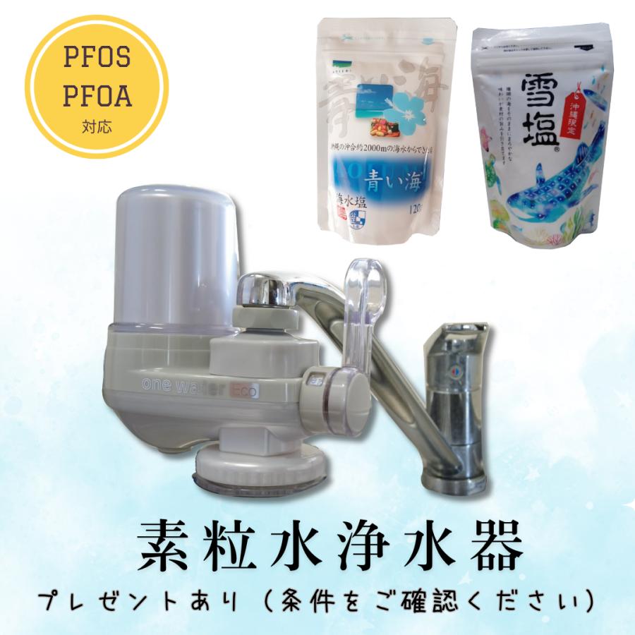 フリーサイエンス正規代理店】 素粒水 浄水器 ワンウォーターECO 沖縄