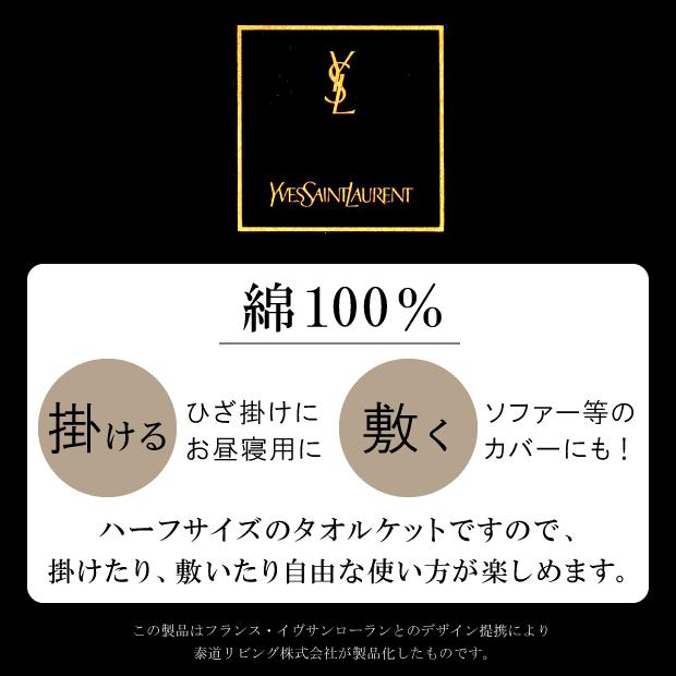 Yves Saint Laurent（イヴ・サンローラン） 【少々難あり】イブサン