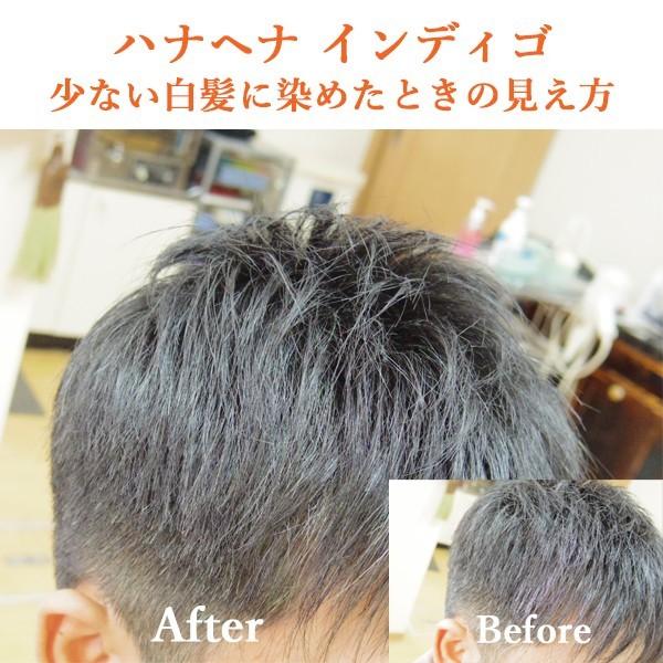 ヘナ ハナヘナ hana henna インディゴ 100g 5個セット 白髪染め 藍色
