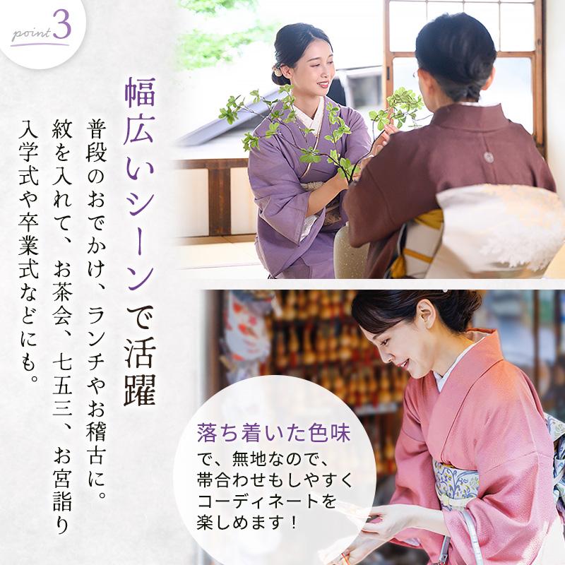 洗える着物 色無地 袷 大きい 地紋 女性 レディース BL TL 全6色 紋