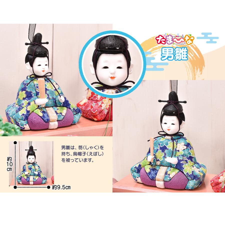 雛人形 ひな人形 ケース飾り 木目込人形【選べる3種類】「たまひな」2