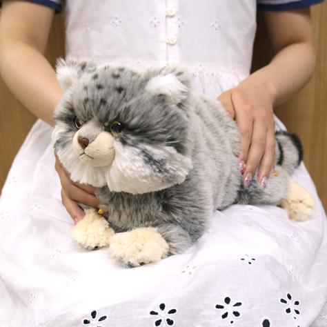 ひざねこ Sサイズ マヌルネコ 山猫 ぬいぐるみ ネコ サンレモン
