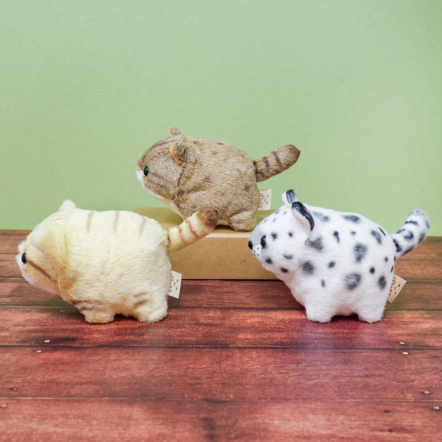 ぽちゃまる ネコ科シリーズ ぬいぐるみ ツシマヤマネコ スナネコ