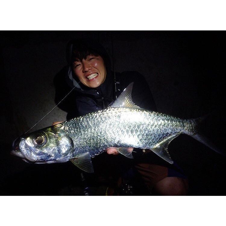 TRANSCENDENCE/トランスセンデンス】60S+ Rev.2 / ボティア : HEDGEHOG