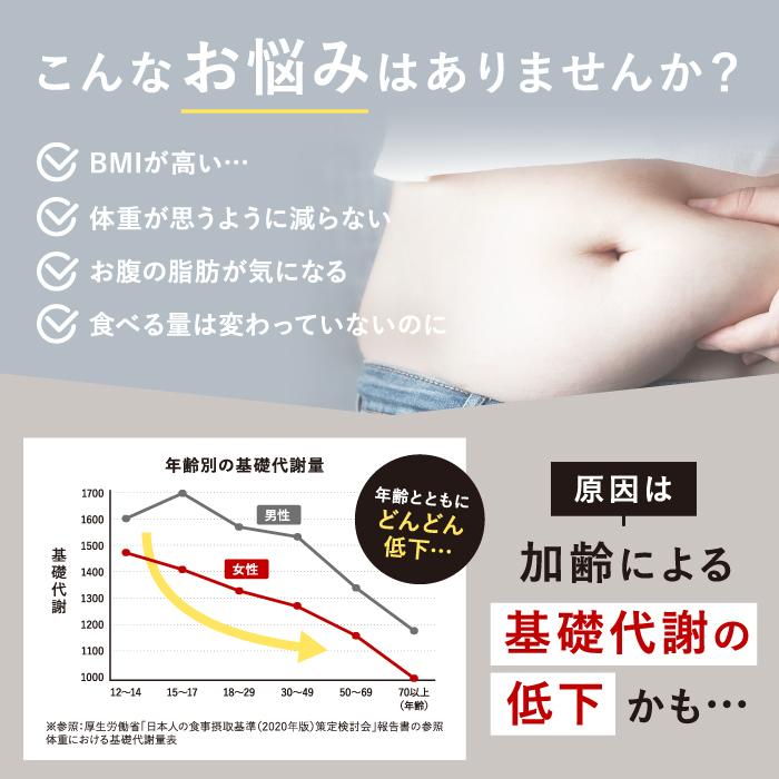 ダイエットドリンク risou no coffee 3箱セット 】 りそうのコーヒー