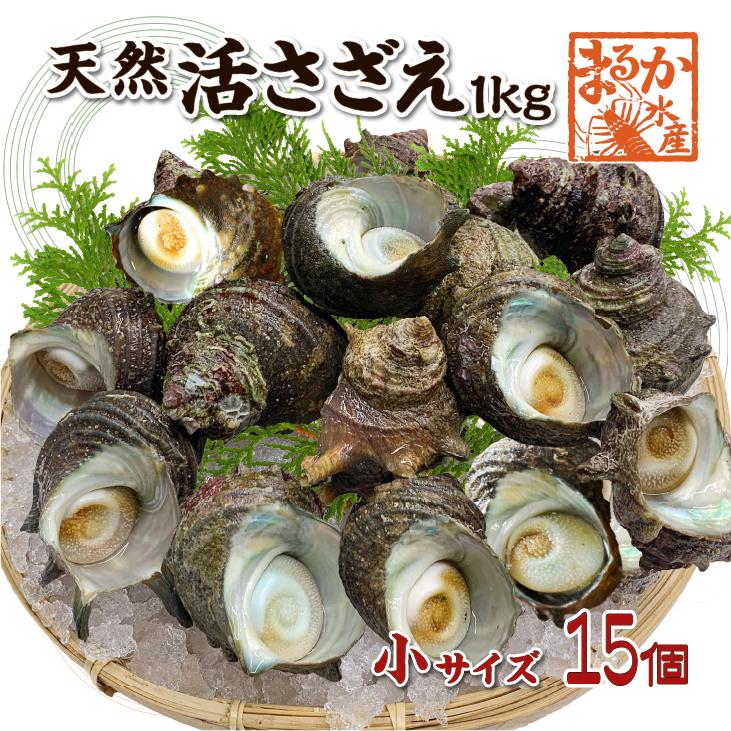 天然活 さざえ 小サイズ 1kg 15個 50〜70g [さざえ] : まるか水産Yahoo