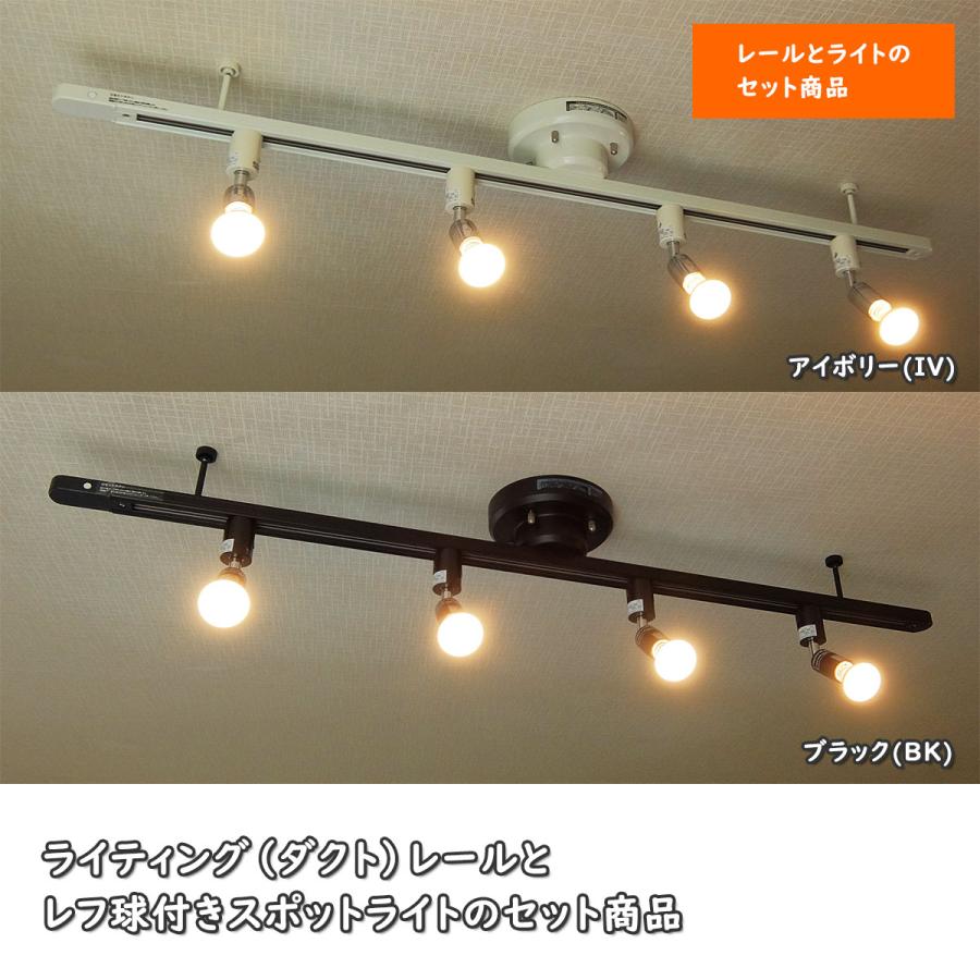 40Wレフ球付 スポットライト ライティングレール ダクトレール セット