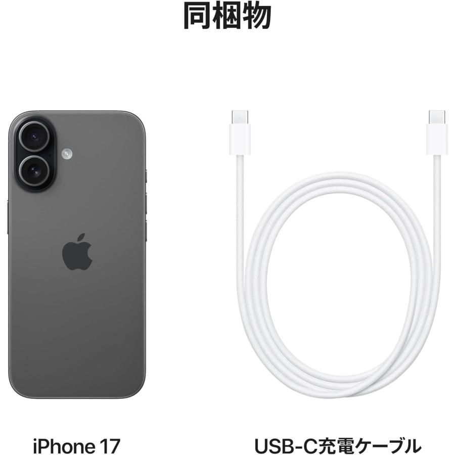iPhone ☆Appleストア版 国内SIMフリー iPhone17 256GB ブラック