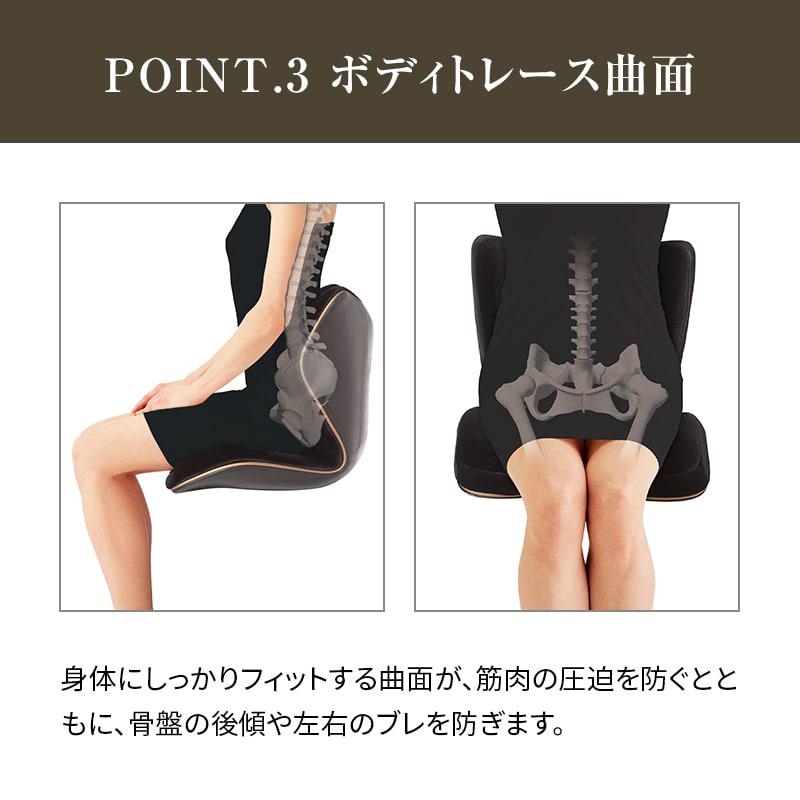 Style（スタイル） 爆買 姿勢ケアシート Style PREMIUM DX プレミアム