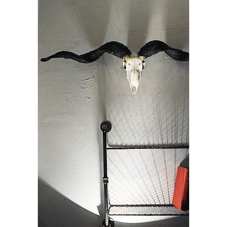 壁飾り 壁掛け オブジェ インテリア スカル ヤギ 山羊 レトロ