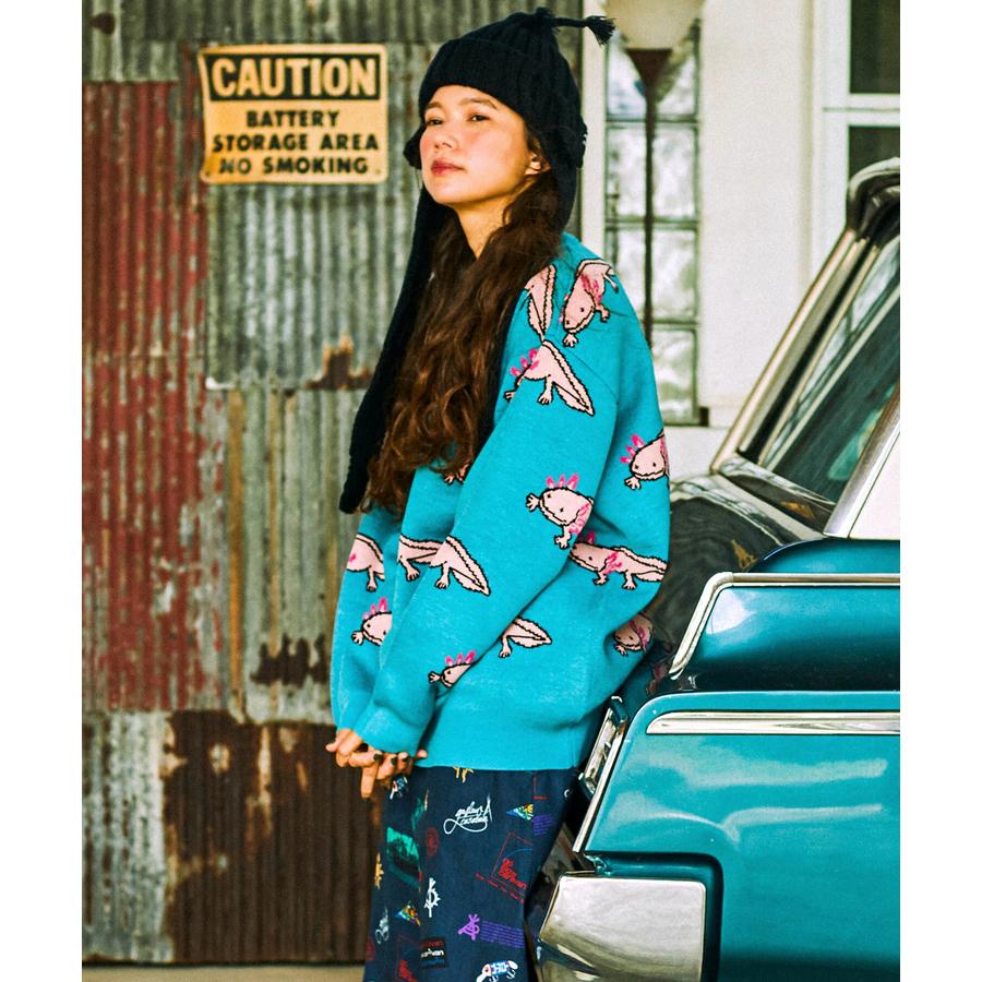 go slow caravan（ゴースローキャラバン） 【go slow caravan