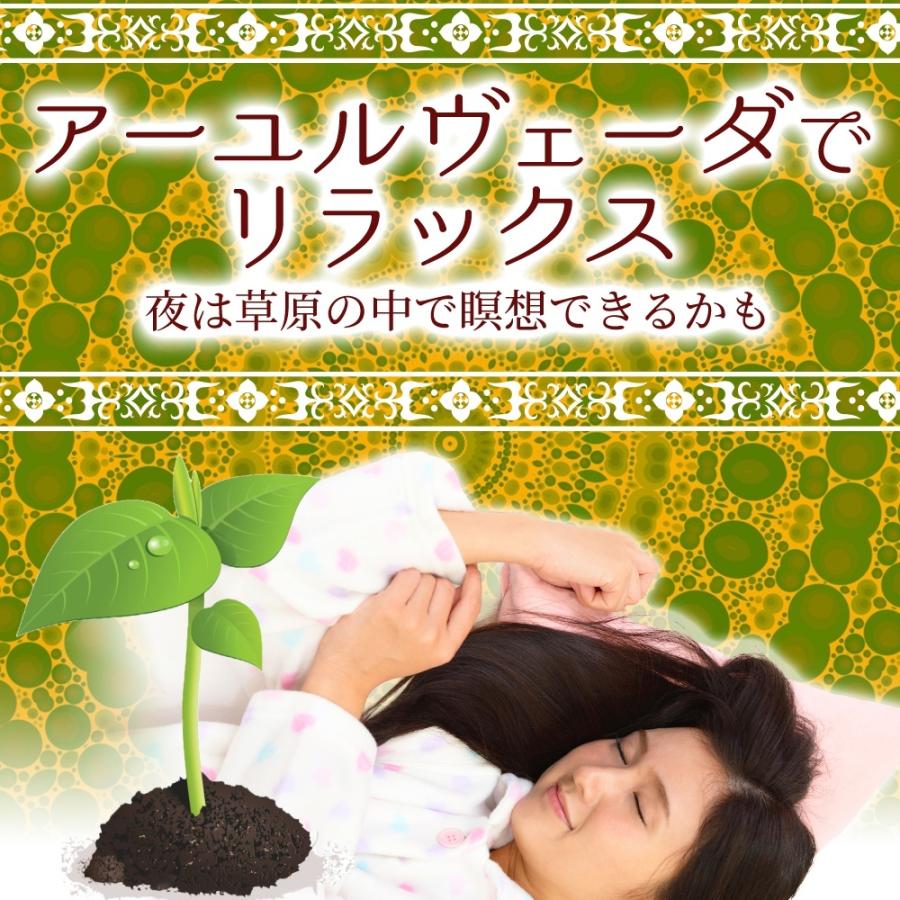 初めてのソジャットヘナに挑戦セット : NAOSHO - 通販 - Yahoo