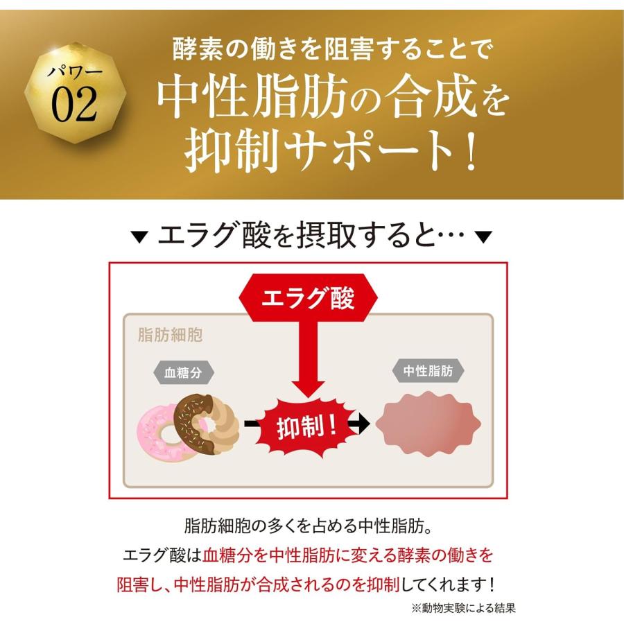 キラーバーナー2 45粒 サプリメント 送料無料 KILLER BURNER 2