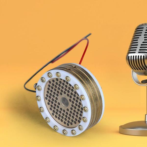 プロフェッショナルレコーディング用34mmダイアフラムコンデンサー