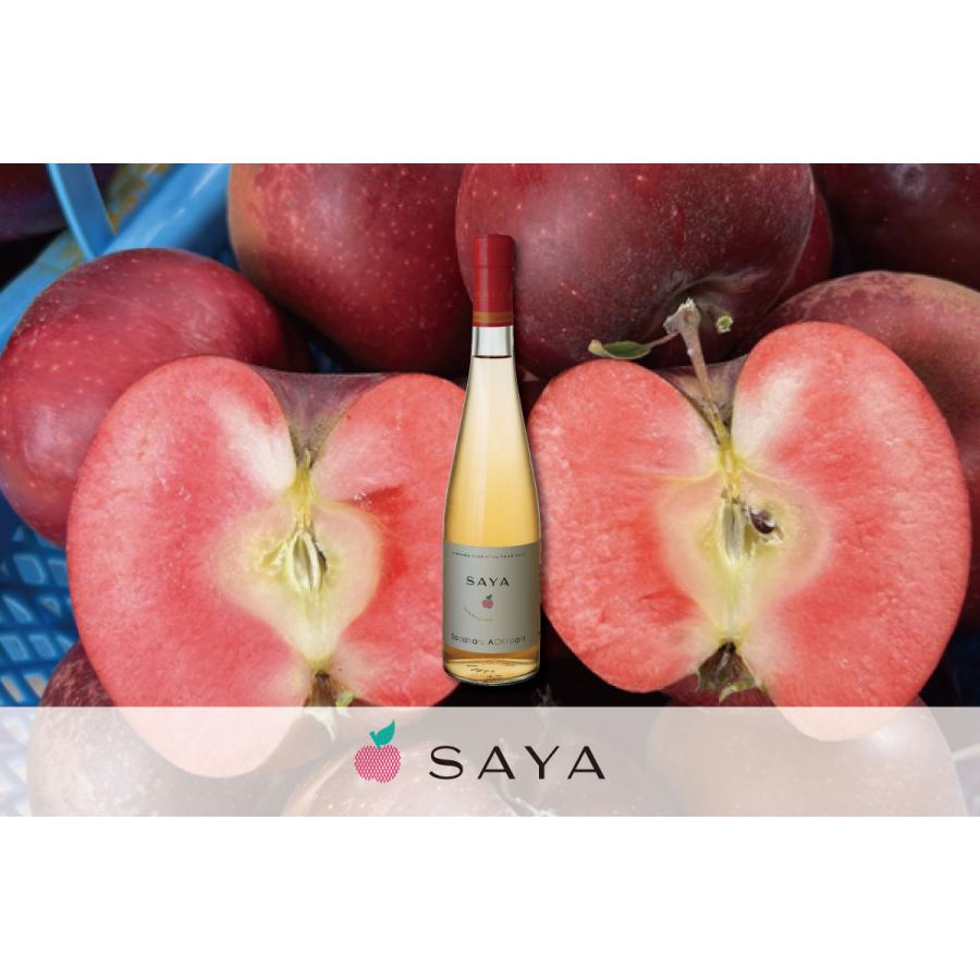 Sadaharu Aoki SAYA 2023 ロゼシードル 500ml 丹波ワイン 果実酒