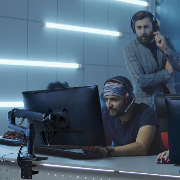 エルゴトロン（ergotron） LX デスクマウント モニターアーム マット