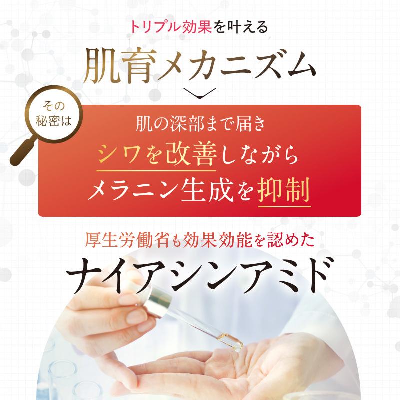 キラリズム 肌育ファンデーション WVスキンアップファンデ 25g