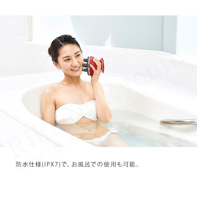 HIGUCHI式 頭筋ストレッチリフト IB-44 美容研究家 樋口賢介 LABO WELL