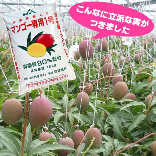 マンゴー肥料(微量要素入りマンゴー専用1号)15kg |沖縄 果物 果実