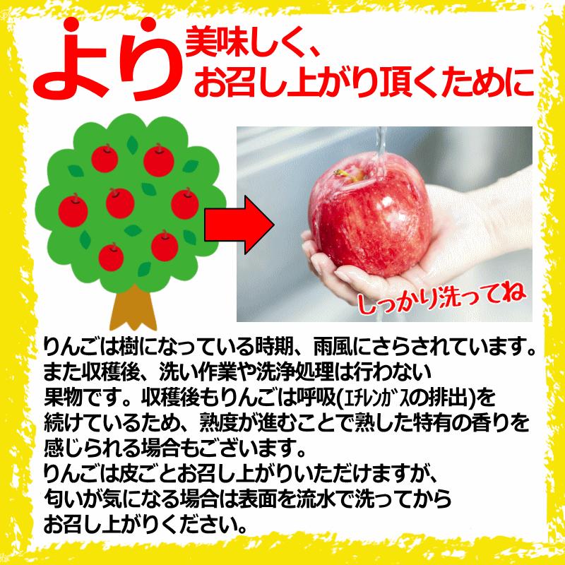 即日発送 青森 りんご 5kg箱 訳あり/加工用 選べる品種 送料無料