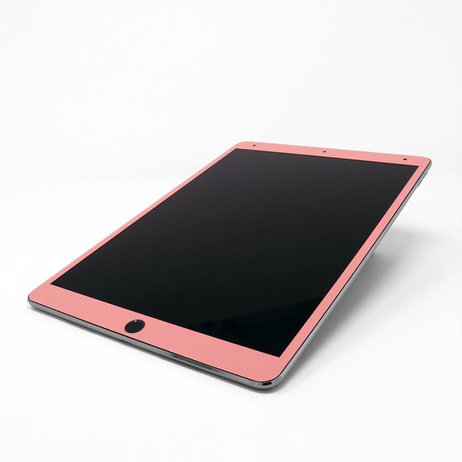 iPad 第9世代 第8世代 第7世代 第6世代 第5世代 スキンシール ケース