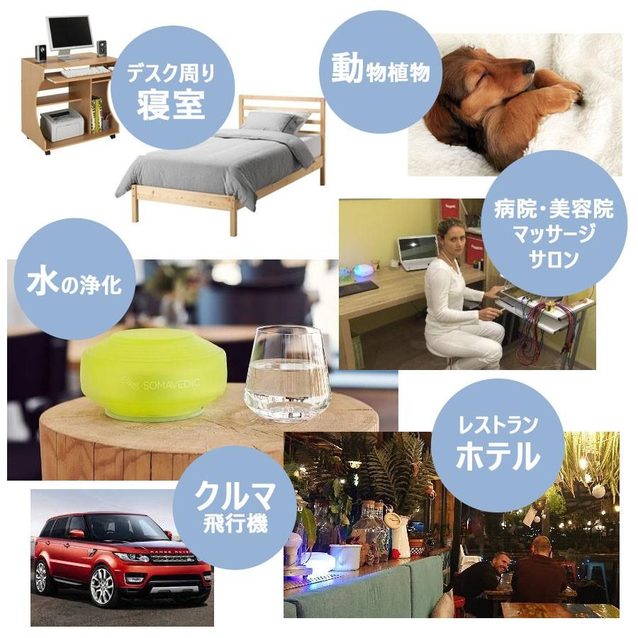 ソマヴェディック パワーブラック ポータブルボタン 持ち歩き