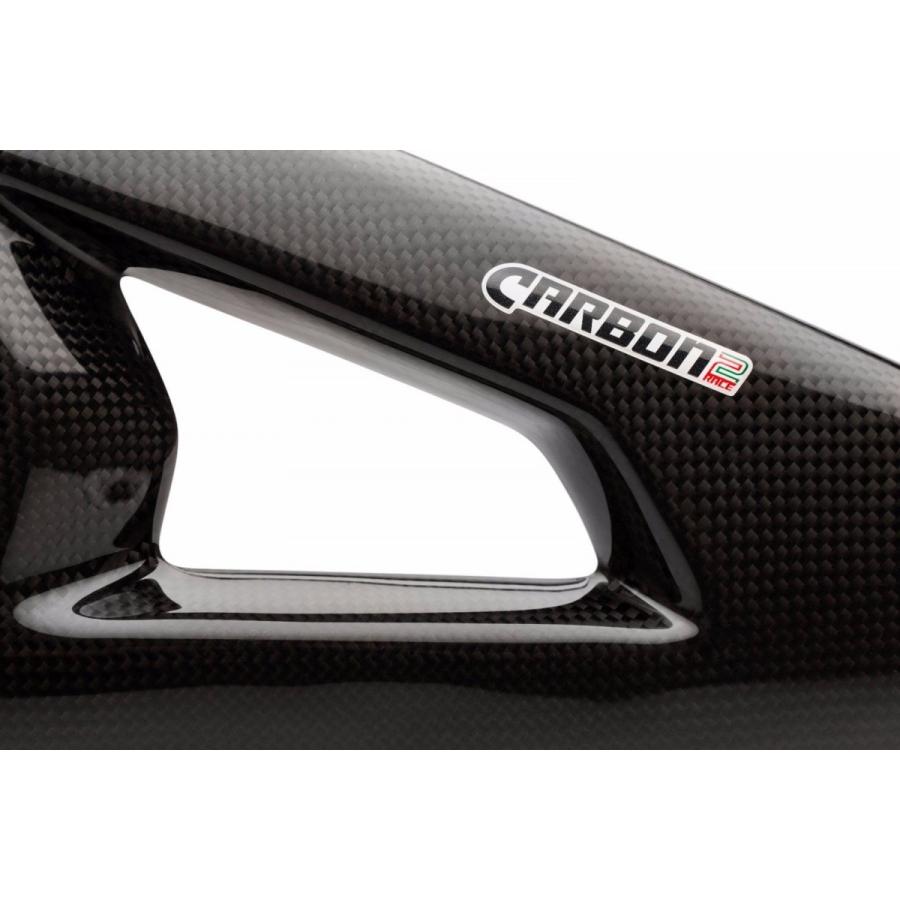 Kawasaki ZX-10R 16-22年 カーボンスイングアームカバー : 輸入パーツ