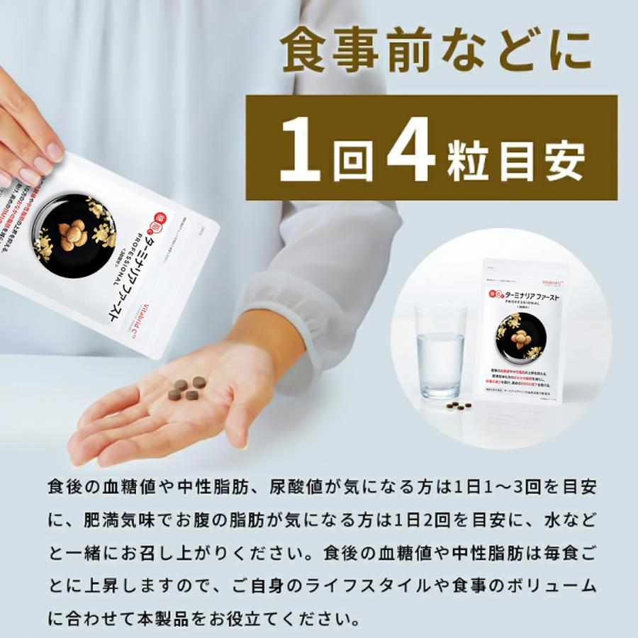 VitabridC 公式 ターミナリアファースト（グルメサプリ）3袋 血糖値 中