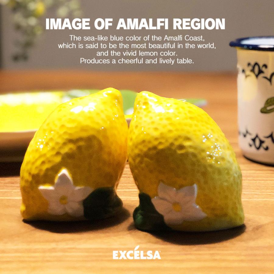 EXCELSA（エクスチェルサ） 調味料入れ 調味料ボトル 塩 胡椒 2個