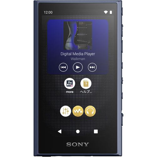 ソニー NW-A307 L ウォークマン ハイレゾ音源対応 WALKMAN A300