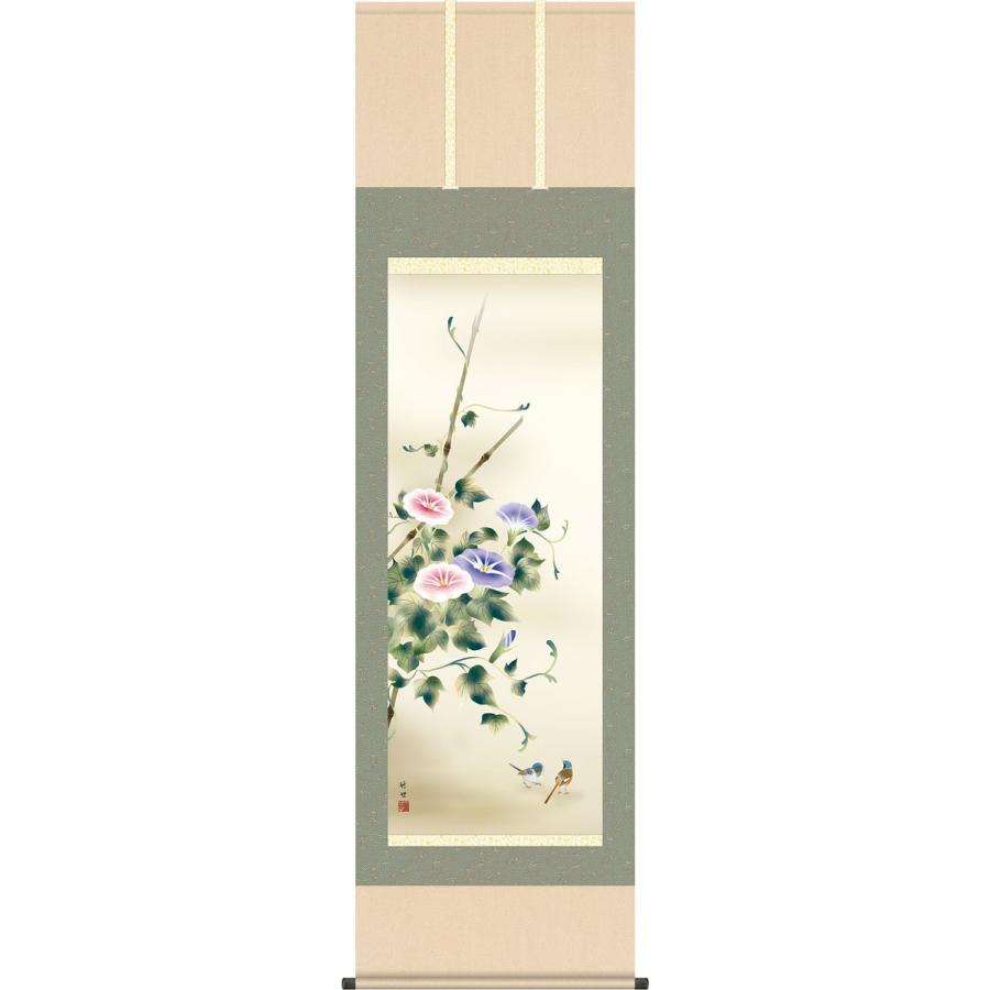 掛軸 (掛け軸) 夏用 朝顔 田村竹世 尺五立 約横54.5×縦190cm g4572 夏