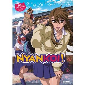 スレイヤーズ REVOLUTION/EVOLUTION-R 廉価版 DVD 全13話+全13話 650分