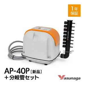 安永エアポンプ 安永 浄化槽ブロワー 40L ＋ 浄化槽薬 2箱セット AP