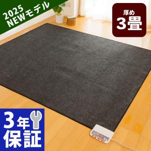 ゼンケン 爆買 ホットカーペット ホットマット 本体のみ 1畳タイプ