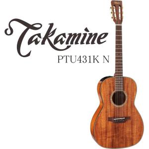 Takamine [※お取り寄せ商品] Takamine DMP251-DC N タカミネ エレアコ