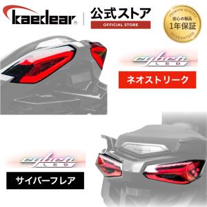 Kaedear（カエディア） CyberLED(サイバーLED)【3点セット】 ヘッド