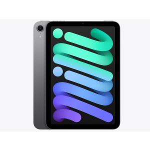 Apple iPad mini 第7世代 Wi-Fi 256GB MXNE3JA パープル【お取り寄せ