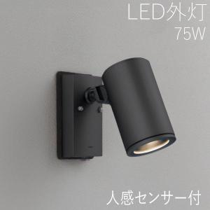 Panasonic（パナソニック） LGWC40380 LE1 スポットライトセンサ付